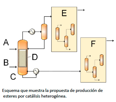 DITI PROYECTO 3